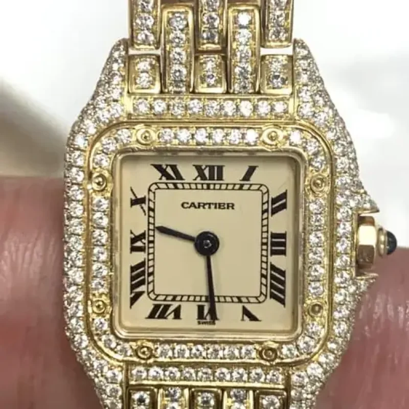 Cartier-Panthere-diamond-pave-set-link-missing Gold link replacement
